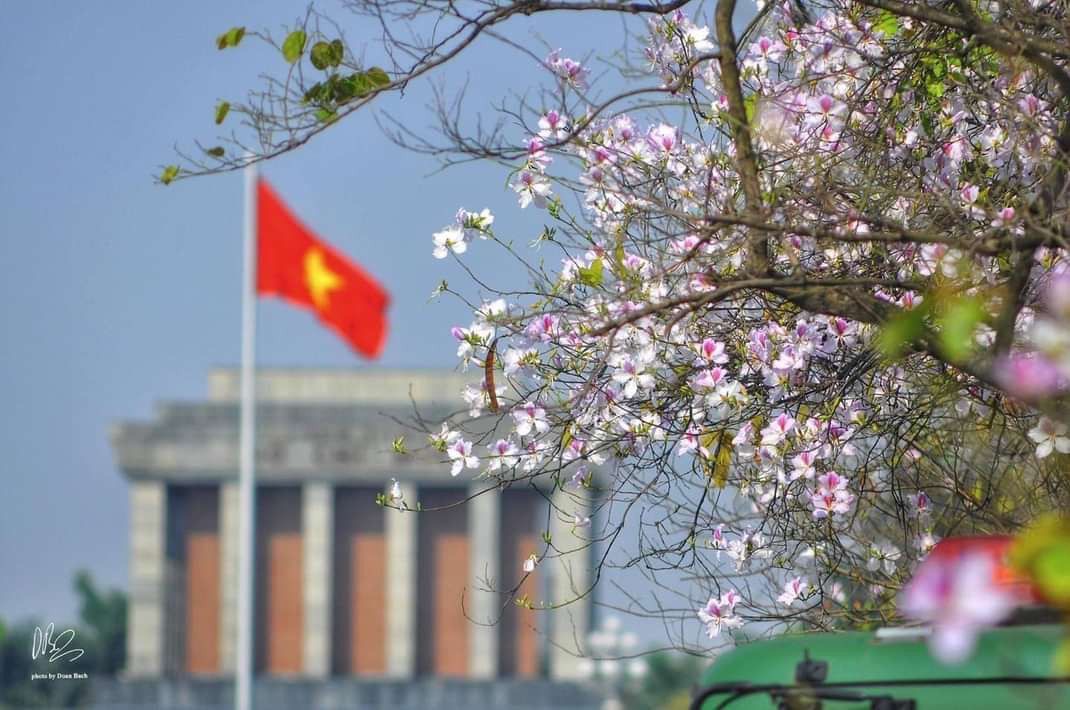 HoChiMinhMausoleum.jpeg