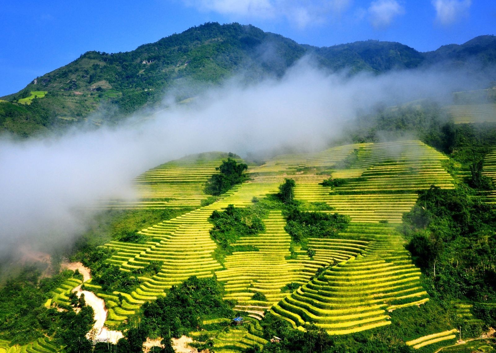 Sapa.jpeg